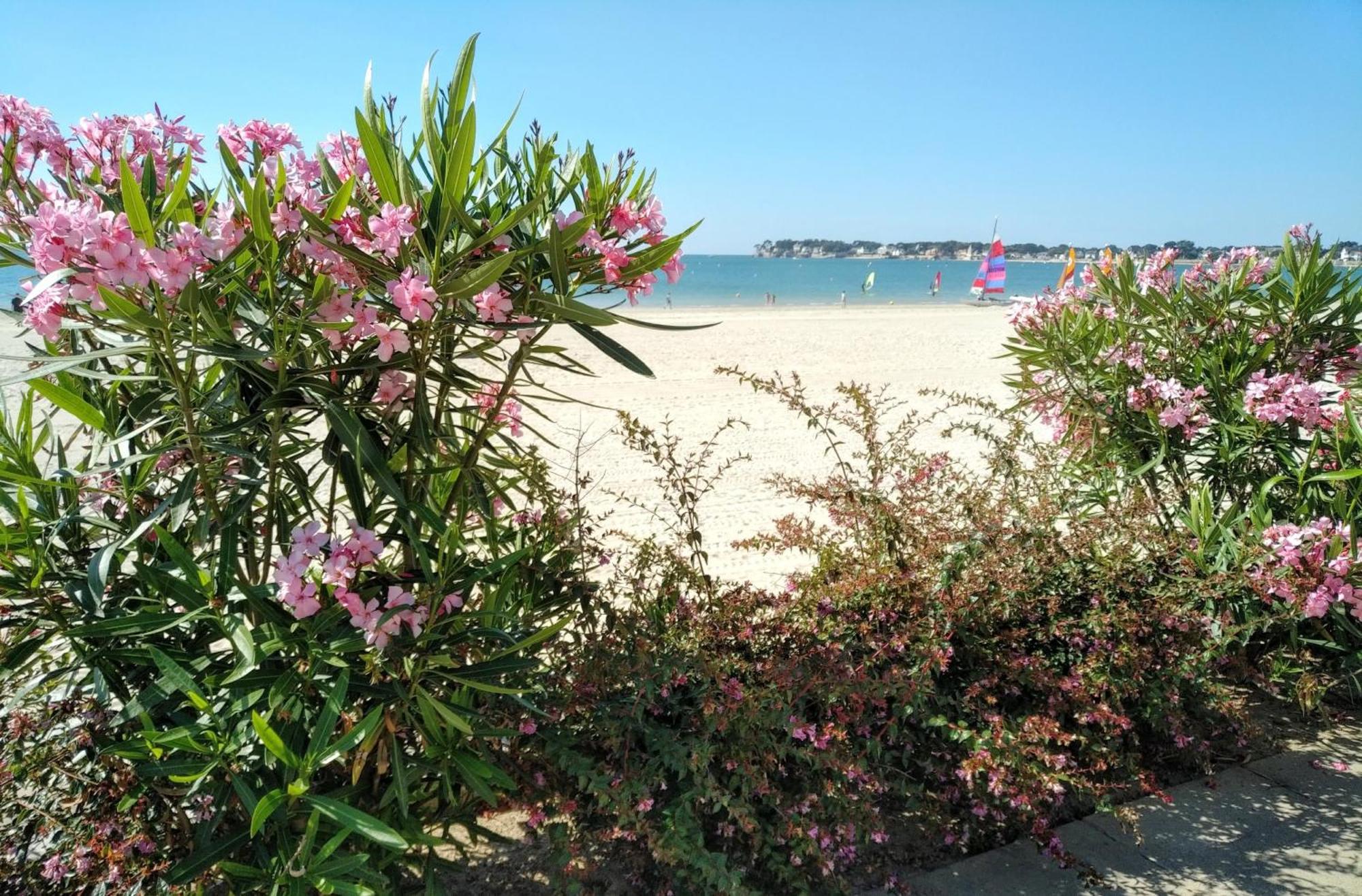 Le Capitole - Studio Plage Benoit Dans Residence Face Mer La Baule المظهر الخارجي الصورة